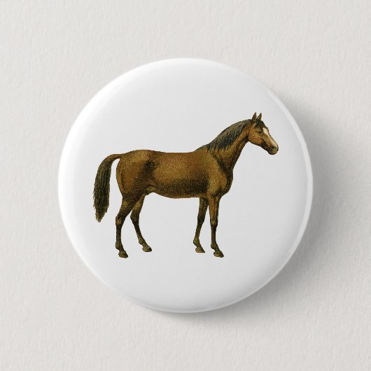 ヴィンテージ馬 缶バッジ (正面)