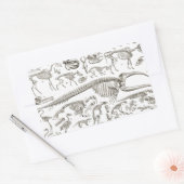 ヴィンテージ骨と獣骨のイラストレーション 長方形シール (封筒)