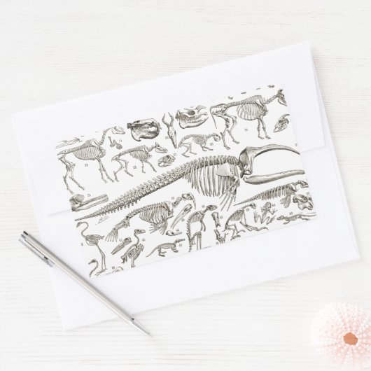 ヴィンテージ骨と獣骨のイラストレーション 長方形シール (封筒)