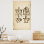 ヴィンテージ骨幹イラストレーション ポスター (キッチン)