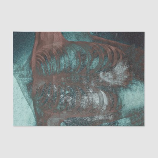 ヴィンテージ骨格のX線ティール(緑がかった色)茶色のテクスチャ 薄葉紙 (正面)