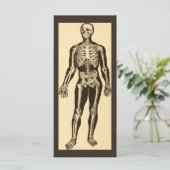 ヴィンテージ骨格イラストレーションエージドお洒落フラット (スタンド正面)