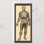 ヴィンテージ骨格イラストレーションエージドお洒落フラット (正面)