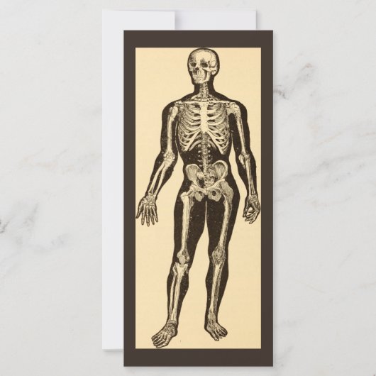 ヴィンテージ骨格イラストレーションエージドお洒落フラット (正面)