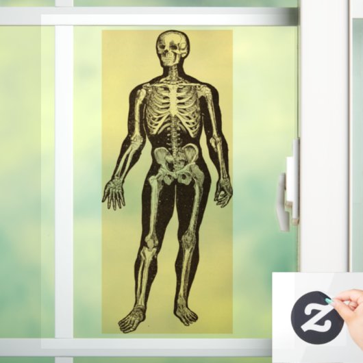 ヴィンテージ骨格イラストレーション経過時お洒落 ウィンドウサイン (ホーム)