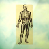 ヴィンテージ骨格イラストレーション経過時お洒落 ウィンドウサイン (シート3)