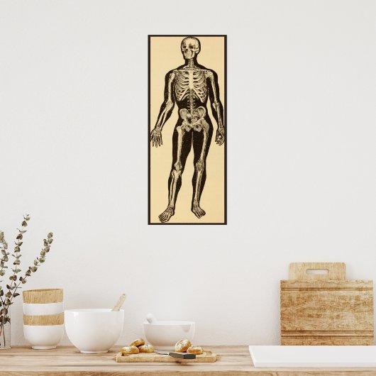 ヴィンテージ骨格イラストレーション経過時お洒落 ポスター (キッチン)