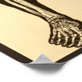 ヴィンテージ骨格イラストレーション経過時お洒落 ポスター (角)