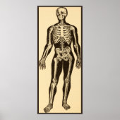 ヴィンテージ骨格イラストレーション経過時お洒落 ポスター (正面)