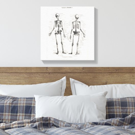 ヴィンテージ骨格ヒト解剖骨骨スカル キャンバスプリント (インサイチュ (寝室))