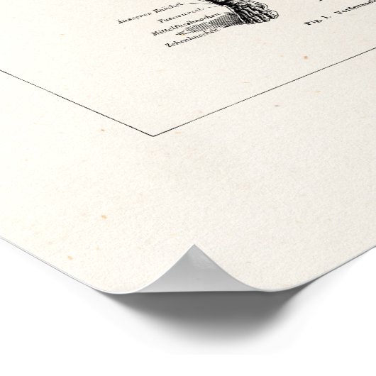 ヴィンテージ骨格ヒト解剖骨骨スカル ポスター (角)