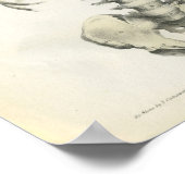 ヴィンテージ骨格構造 ポスター (角)