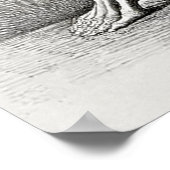 ヴィンテージ骨格解剖ポスター ポスター (角)