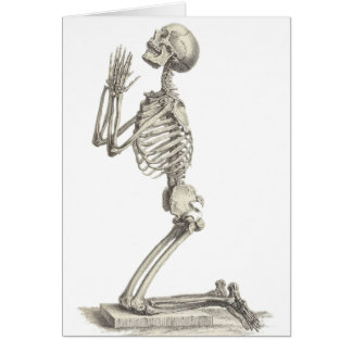 ヴィンテージ骨格