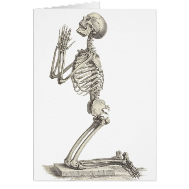 ヴィンテージ骨格 (正面)