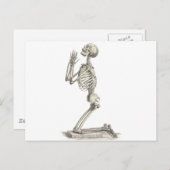 ヴィンテージ骨格 ポストカード (正面/裏面)