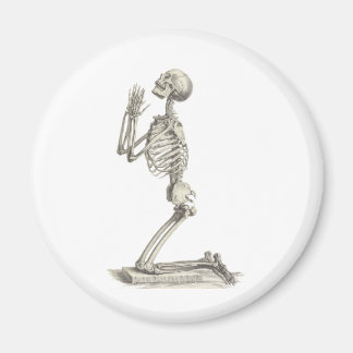 ヴィンテージ骨格 マグネット