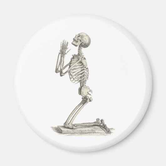 ヴィンテージ骨格 マグネット (正面)