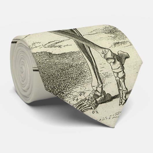 ヴィンテージ骨格、Denis Diderotによる人間の解剖学 ネクタイ (ロール)