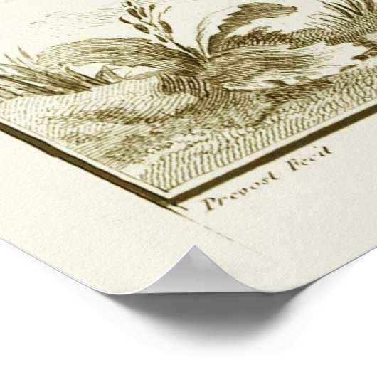 ヴィンテージ骨格、Denis Diderotによる人間の解剖学 ポスター (角)