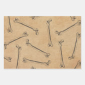 ヴィンテージ骨解剖用ラッピング紙シート ラッピングペーパーシート (正面)