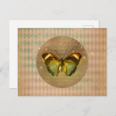 ヴィンテージ魅惑の蝶 ポストカード (正面/裏面)