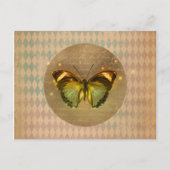 ヴィンテージ魅惑の蝶 ポストカード (正面)
