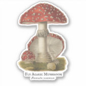 ヴィンテージ魔法カスタム切りビニールシール シール (正面)