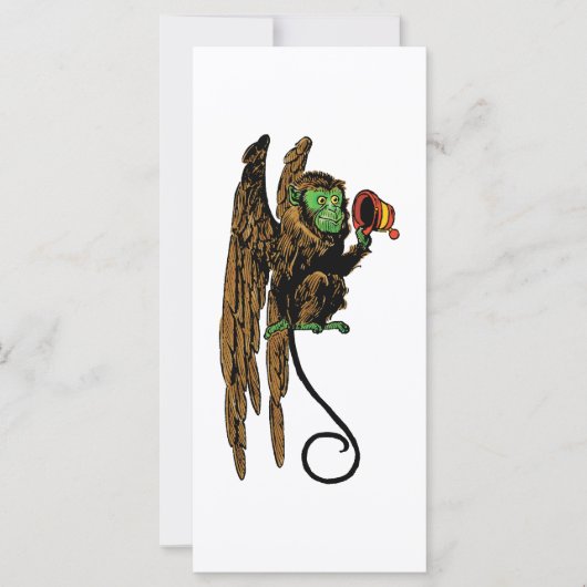 ヴィンテージ魔法使いオズ飛んでいるハット (正面)