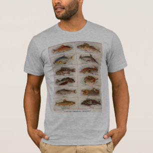 ヴィンテージ魚の異常な関心ウェブスター1911 Tシャツ