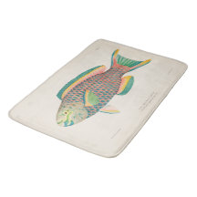 ヴィンテージ魚の科学的イラスト