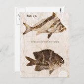 ヴィンテージ魚アンティーク海洋レトロ海洋生物海 ポストカード (正面/裏面)