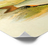 ヴィンテージ魚プリント016 |ローチ ポスター (角)