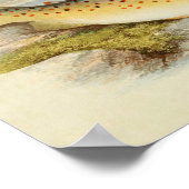 ヴィンテージ魚プリント026 | Gillaroo Trout ポスター (角)