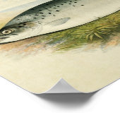 ヴィンテージ魚プリント032 |サーモンマス ポスター (角)