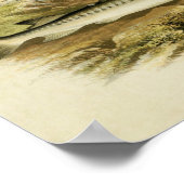 ヴィンテージ魚プリント037 | Sturgeon ポスター (角)