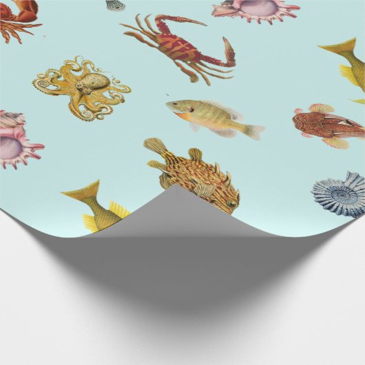 ヴィンテージ魚貝類回収海航海の舶用 ラッピングペーパー (角)