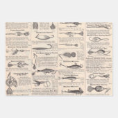 ヴィンテージ魚釣りルアー:アンティーク1900年代の漁師 ラッピングペーパーシート (正面)