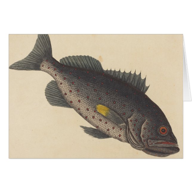 ヴィンテージ魚釣り芸術 (正面横)