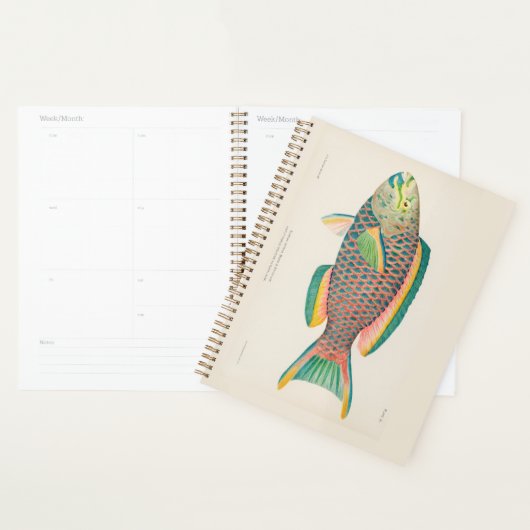 ヴィンテージ魚類科学イラストレーション プランナー手帳 (ディスプレー)