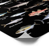 ヴィンテージ魚類識別図魚釣り ポスター (角)