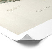 ヴィンテージ魚 – ブラックバス ポスター (角)