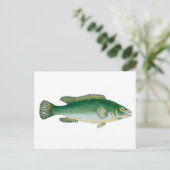 ヴィンテージ魚 ポストカード (スタンド正面)
