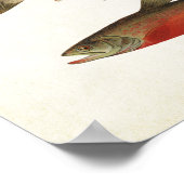 ヴィンテージ魚 – マス ポスター (角)