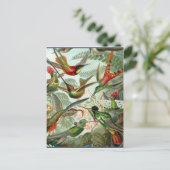 ヴィンテージ鮮やかハミングバーズアート ポストカード (スタンド正面)