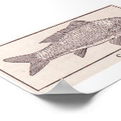 ヴィンテージ鯉 ポスター (角)