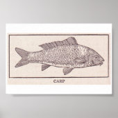 ヴィンテージ鯉 ポスター (正面)