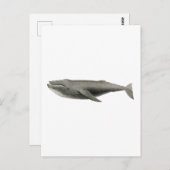 ヴィンテージ鯨イラストレーション葉書 ポストカード (正面/裏面)