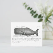 ヴィンテージ鯨デザイン ポストカード (スタンド正面)