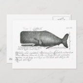 ヴィンテージ鯨デザイン ポストカード (正面/裏面)